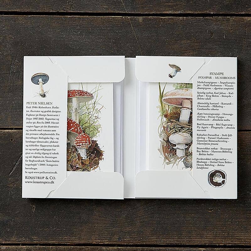 8 tarjetas con sobres de setas fabricadas en Europa