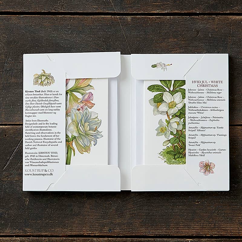 Tarjetas navideñas blancas con flores navideñas - Hecho en Europa