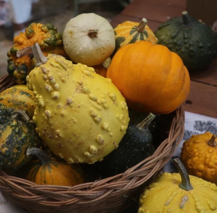 Calabacitas de Bruja