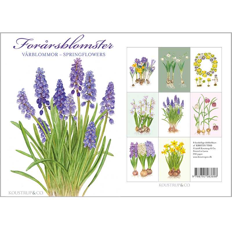 Carpeta Springflowers, 8 tarjetas con sobres, fabricada en Europa