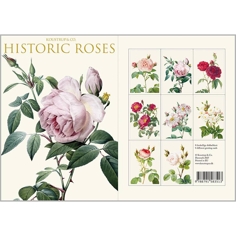Carpeta de tarjetas Rosas Históricas 8 tarjetas con 8 sobres
