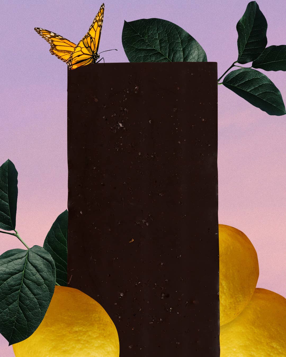 Tableta 100% - Chocolate negro con Limón Y jengibre