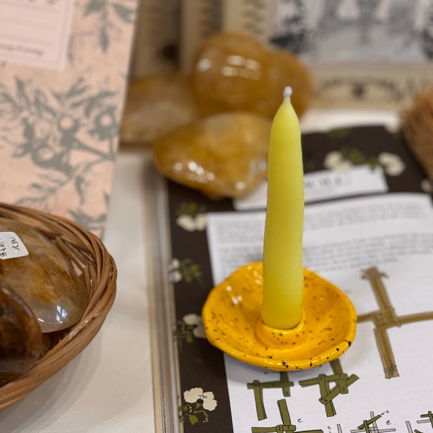 Cuencolabro amarillo Felicidad