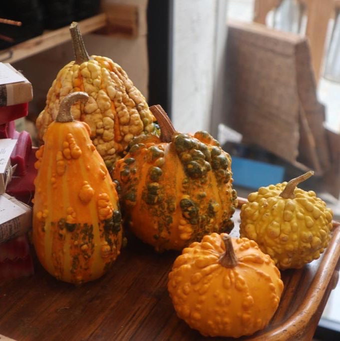 Calabacitas de Bruja