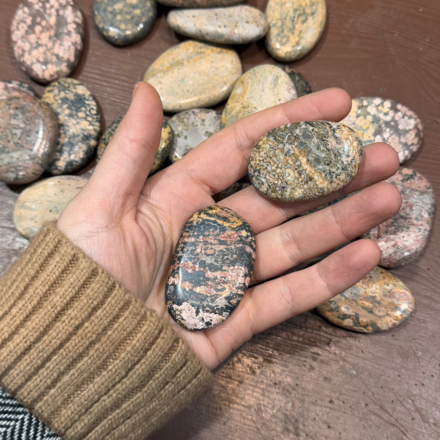 Piedra de Palma Jaspe leopardo 🐆