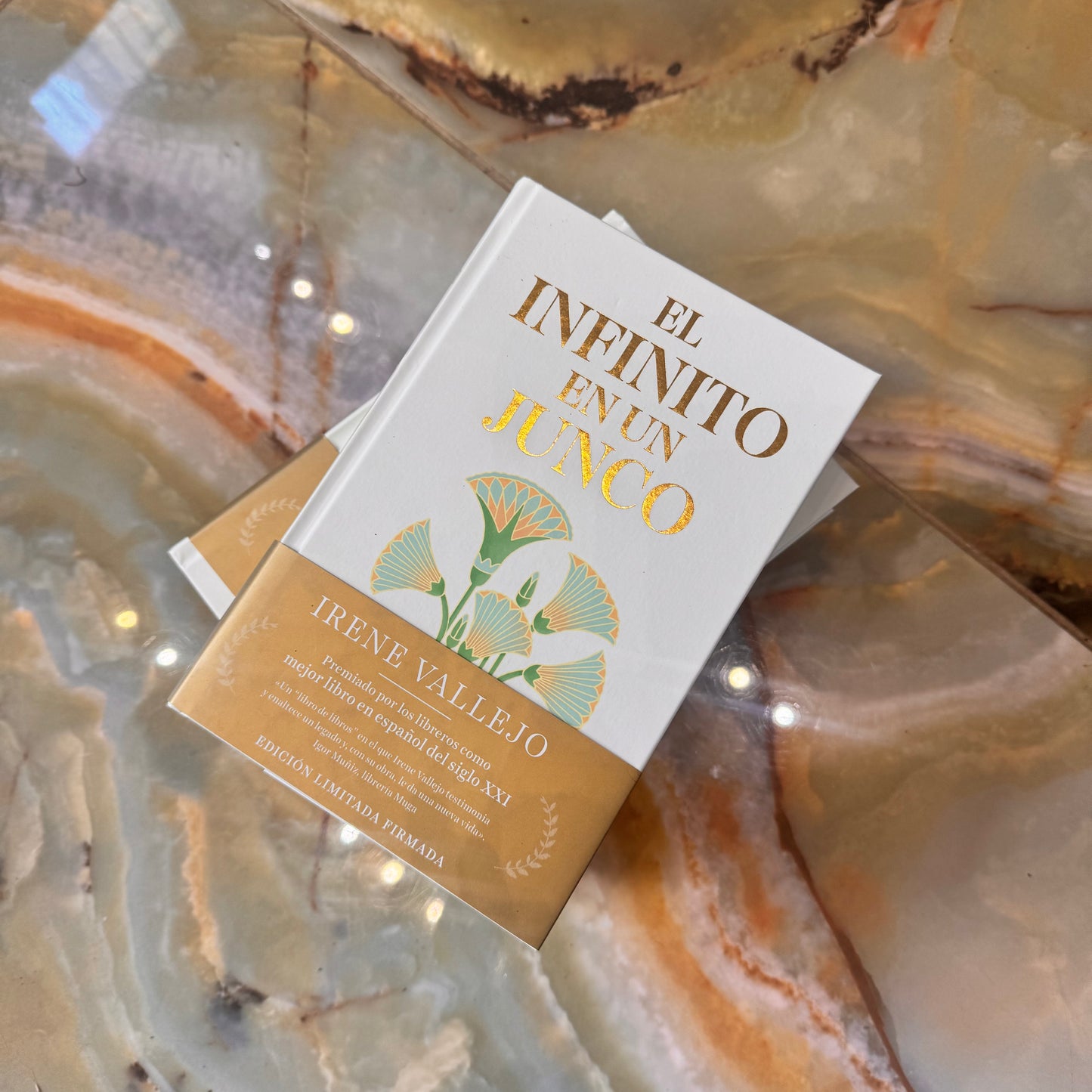 El infinito en un junto edición PRECIOSA
