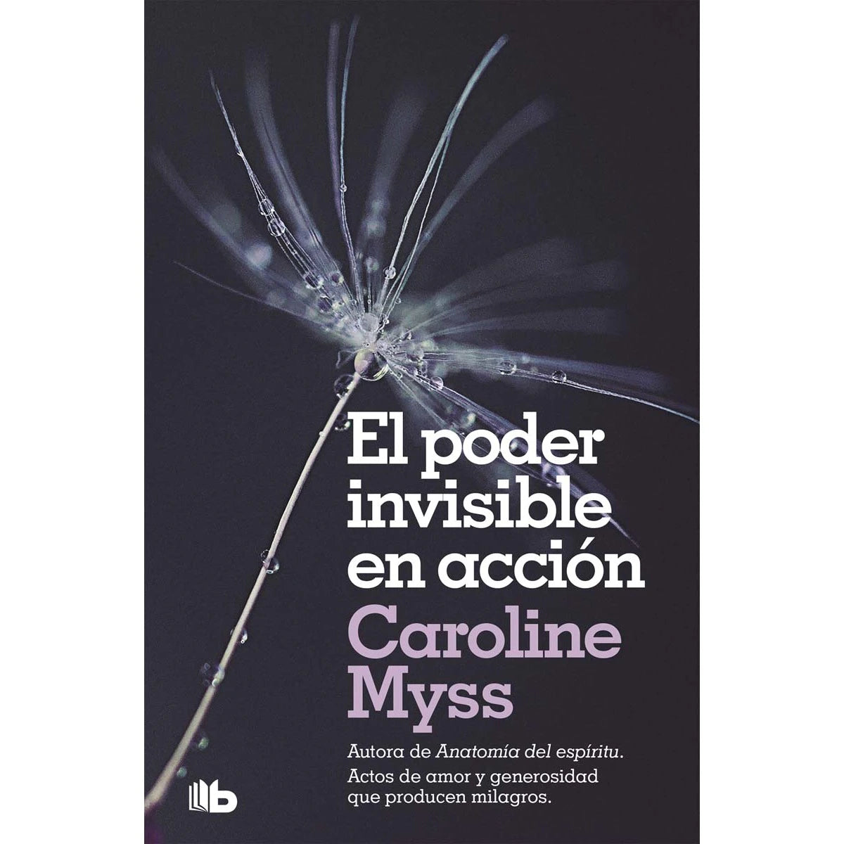 El poder invisible en acción - Caroline Myss