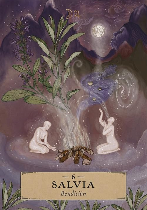 Oráculo Astrología Herbal