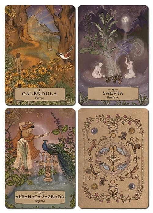 Oráculo Astrología Herbal