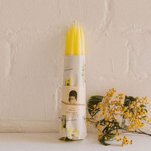 MIMOSA larga y mediana 25gr/35gr (Vela ritual amarilla: Felicidad y alegría)