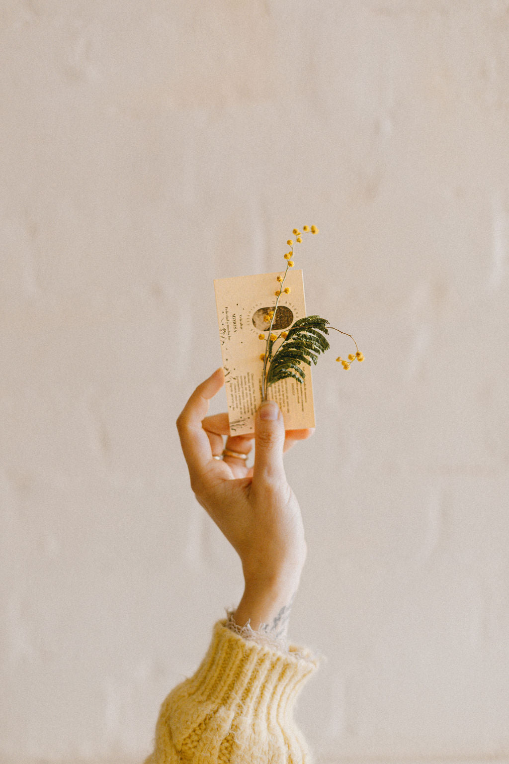 Vela ritual amarilla MIMOSA larga mediana