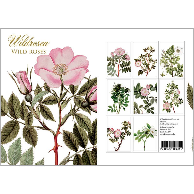 Carpeta de tarjetas Wildrosen - 8 tarjetas con sobres (alemán)