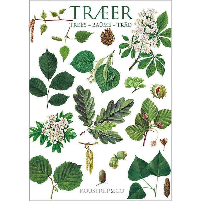 Carpeta de tarjetas Trees, 8 unidades, con sobres, fabricada en Europa