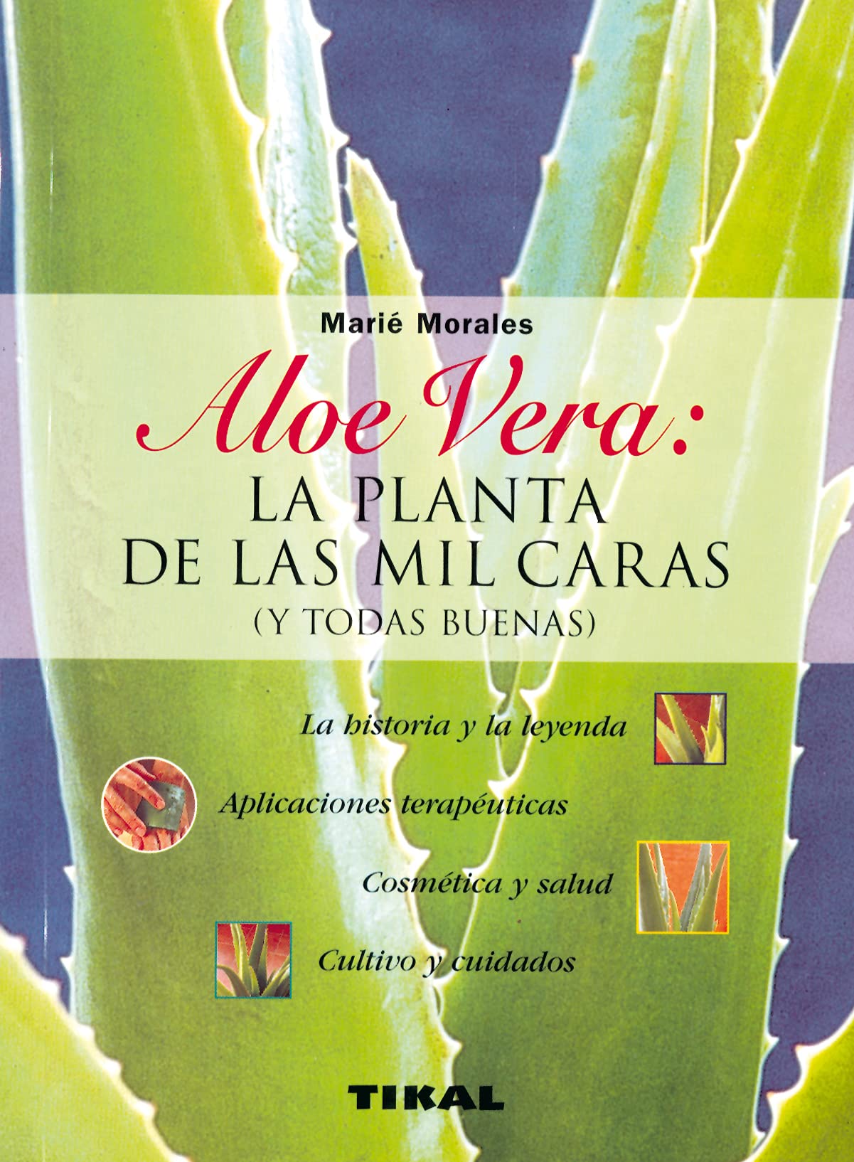 Aloe Vera, la planta de las mio caras