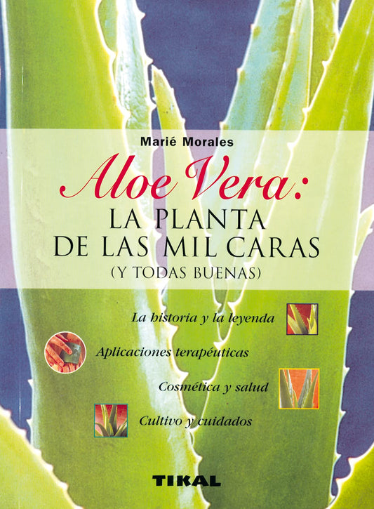 Aloe Vera, la planta de las mio caras