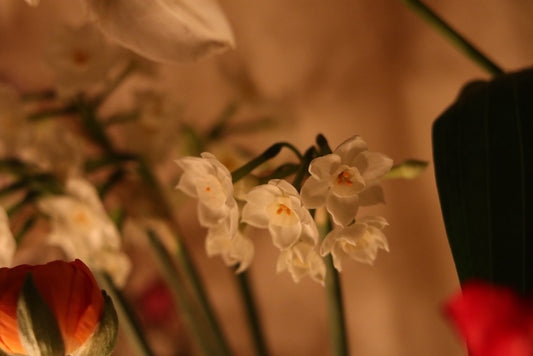 Masajes en Antevasin´s Store