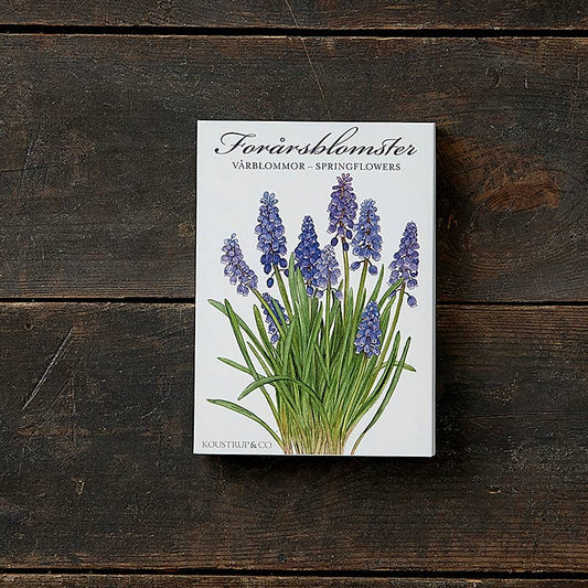 Carpeta Springflowers, 8 tarjetas con sobres, fabricada en Europa