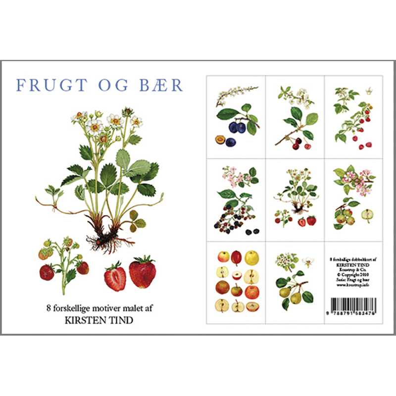 Tarjetero frutas y bayas 8 tarjetas e/sobres