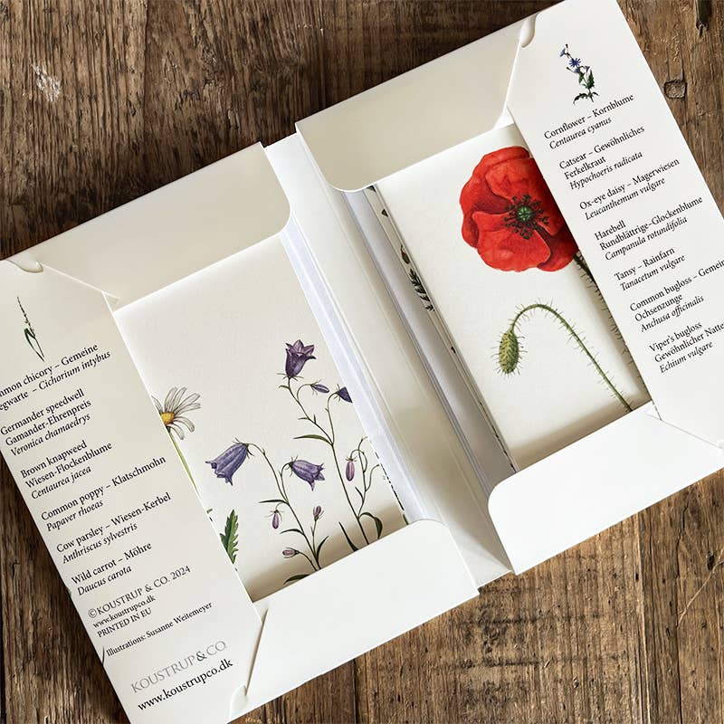 Carpeta de tarjetas Feld & Wiese - 8 tarjetas con sobres (alemán)