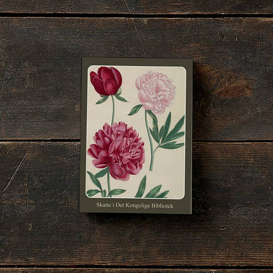 Alegre primavera: conjunto de 8 hermosas tarjetas con sobres