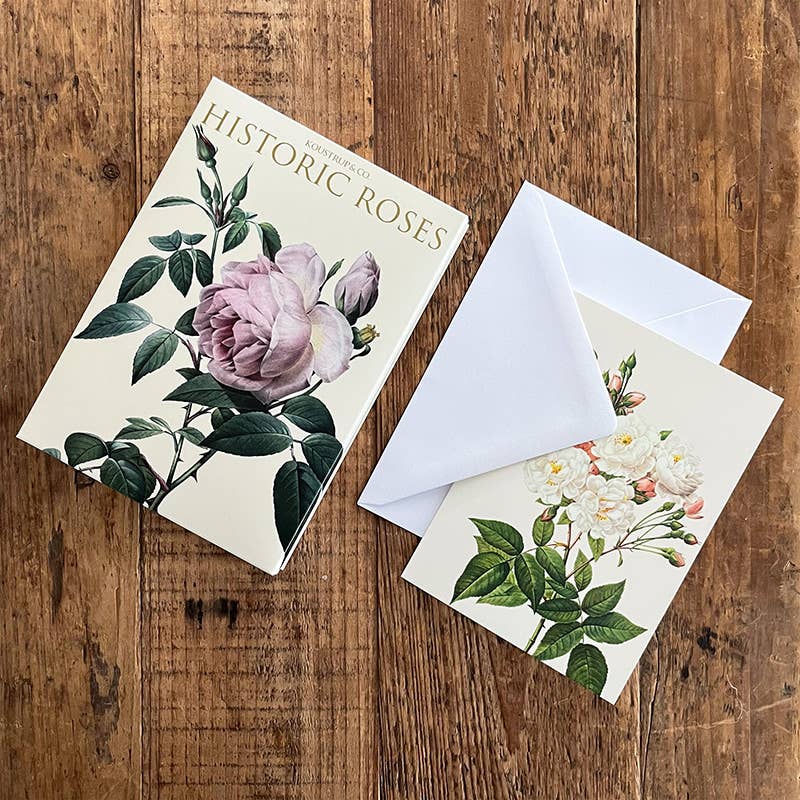 Carpeta de tarjetas Rosas Históricas 8 tarjetas con 8 sobres