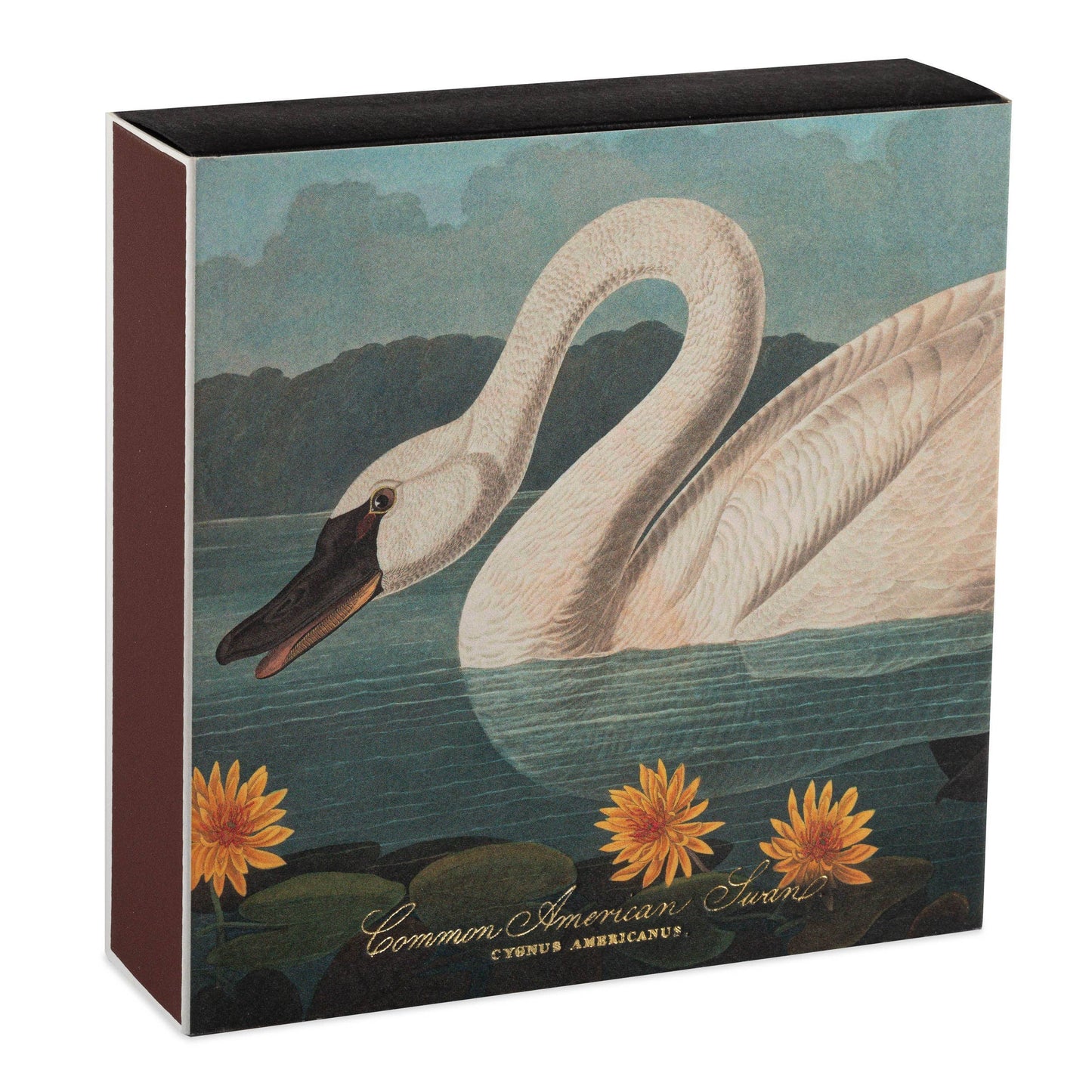 El Cisne Americano Común | Cerillas luxury