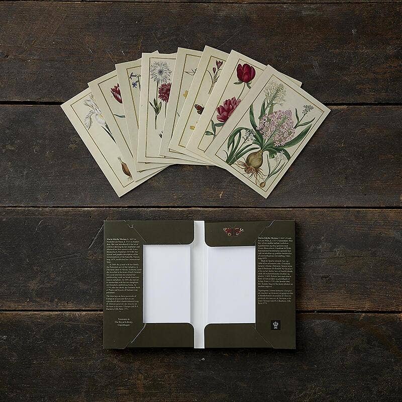 Alegre primavera: conjunto de 8 hermosas tarjetas con sobres