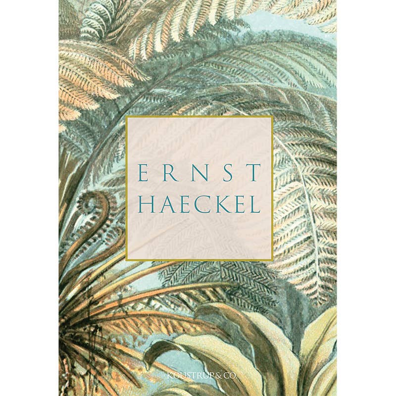 Carpeta de tarjetas de Ernst Haeckel con 8 tarjetas y sobres