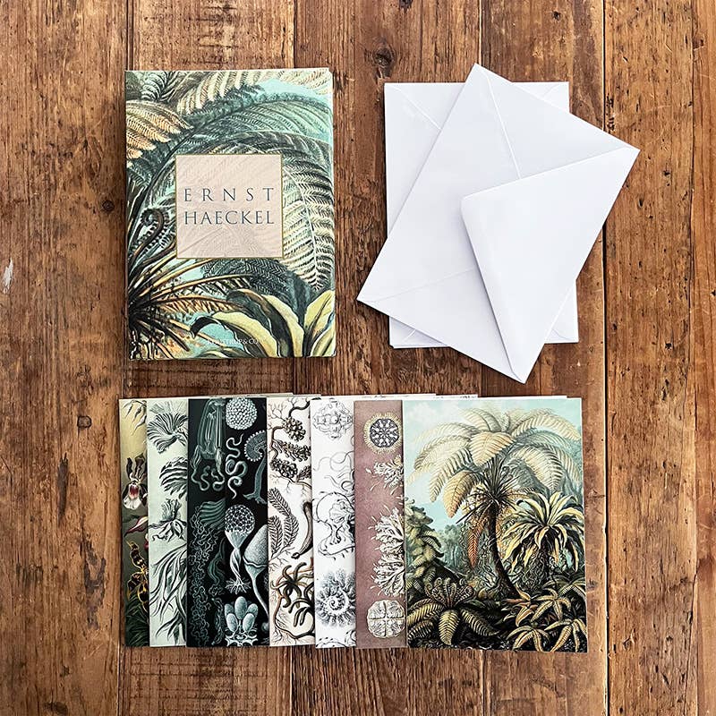 Carpeta de tarjetas de Ernst Haeckel con 8 tarjetas y sobres