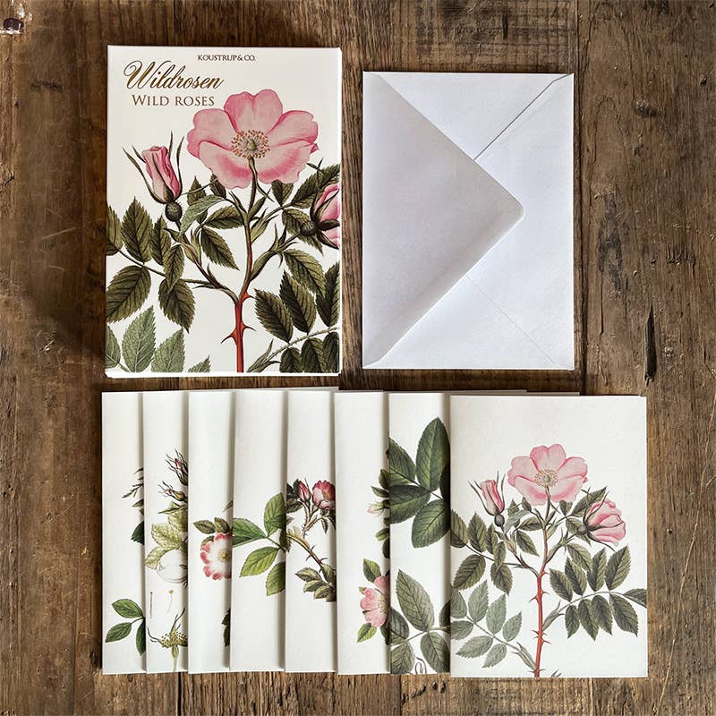 Carpeta de tarjetas Wildrosen - 8 tarjetas con sobres (alemán)