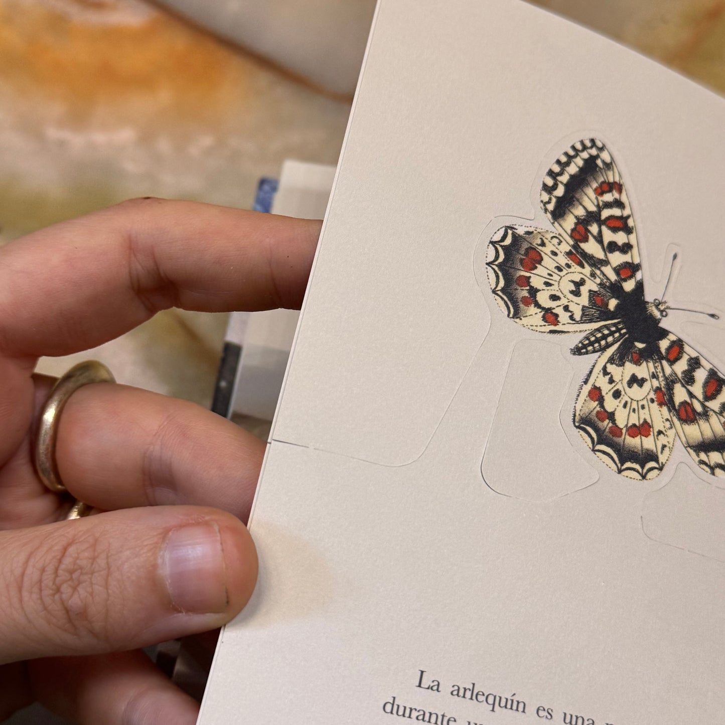Libro-diorama de las Mariposas