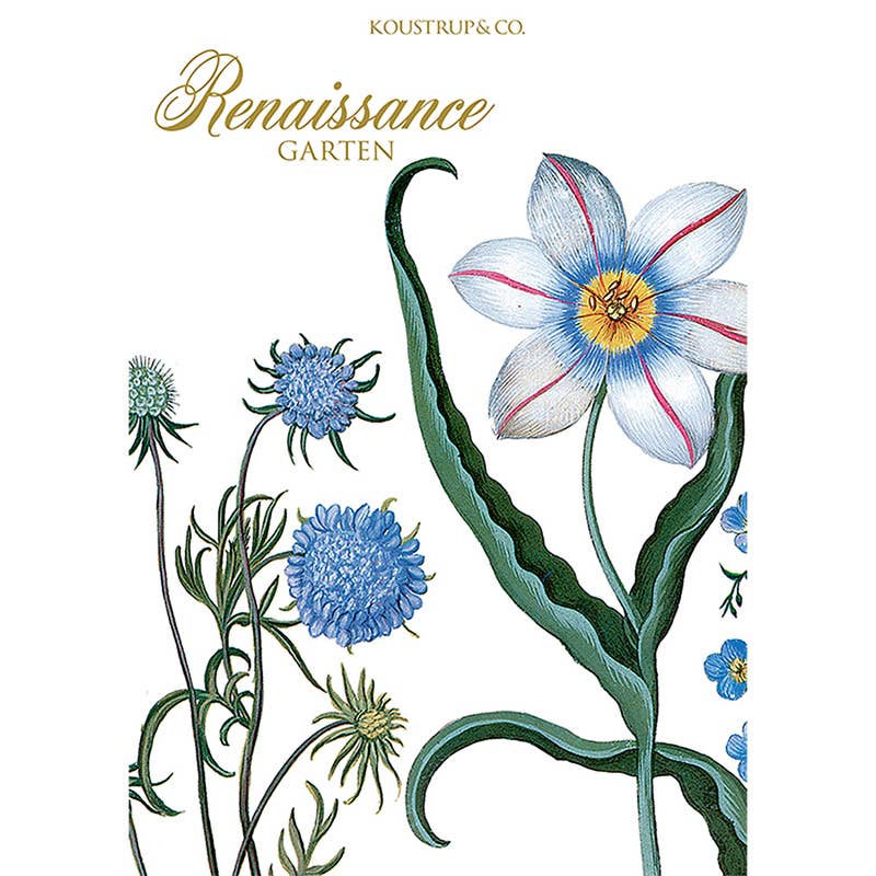 Carpeta de tarjetas Renaissancegarten - 8 tarjetas con sobres (alemán)