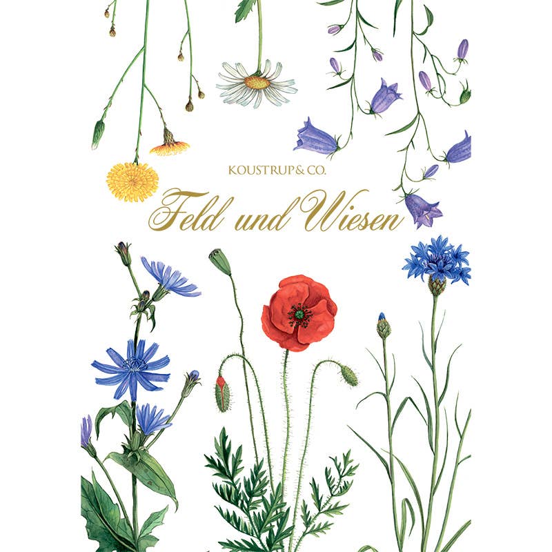 Carpeta de tarjetas Feld & Wiese - 8 tarjetas con sobres (alemán)