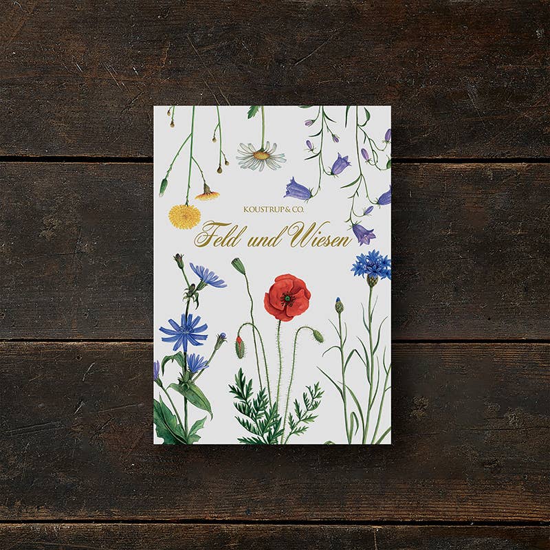 Carpeta de tarjetas Feld & Wiese - 8 tarjetas con sobres (alemán)