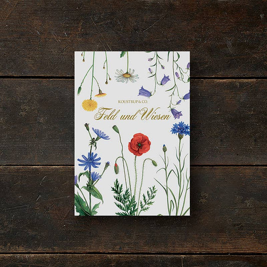 Carpeta de tarjetas Feld & Wiese - 8 tarjetas con sobres (alemán)