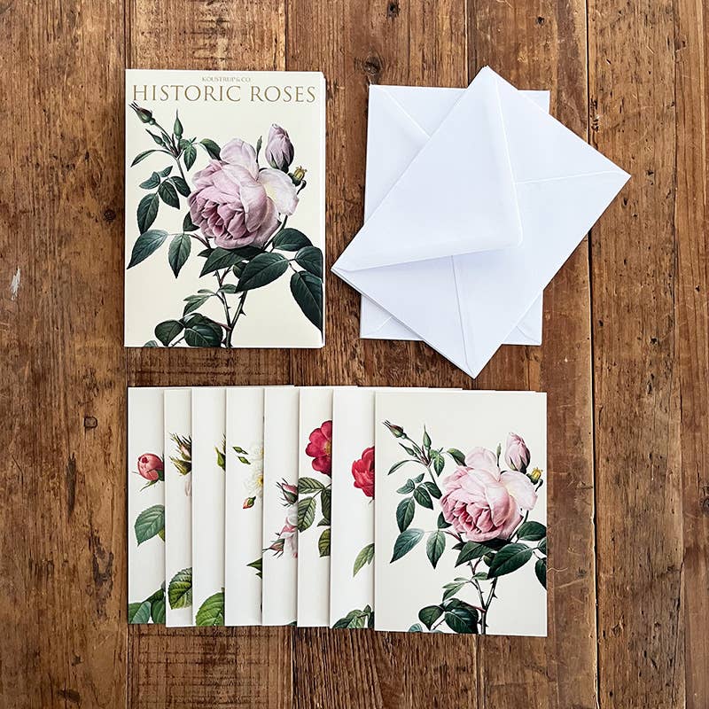 Carpeta de tarjetas Rosas Históricas 8 tarjetas con 8 sobres