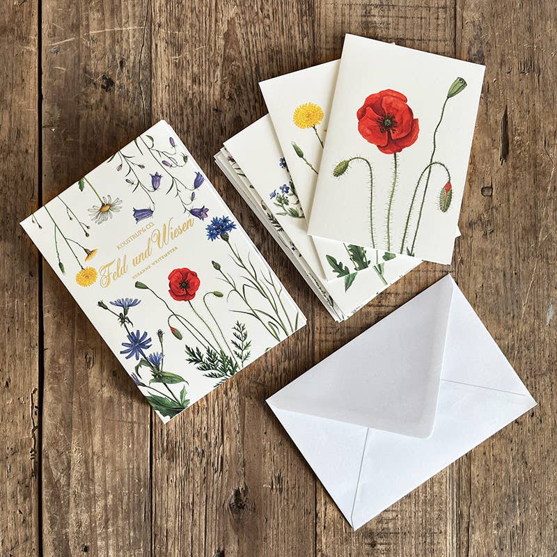 Carpeta de tarjetas Feld & Wiese - 8 tarjetas con sobres (alemán)