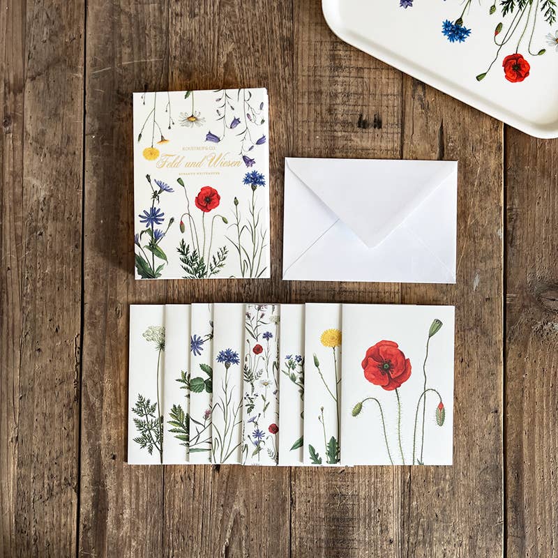 Carpeta de tarjetas Feld & Wiese - 8 tarjetas con sobres (alemán)