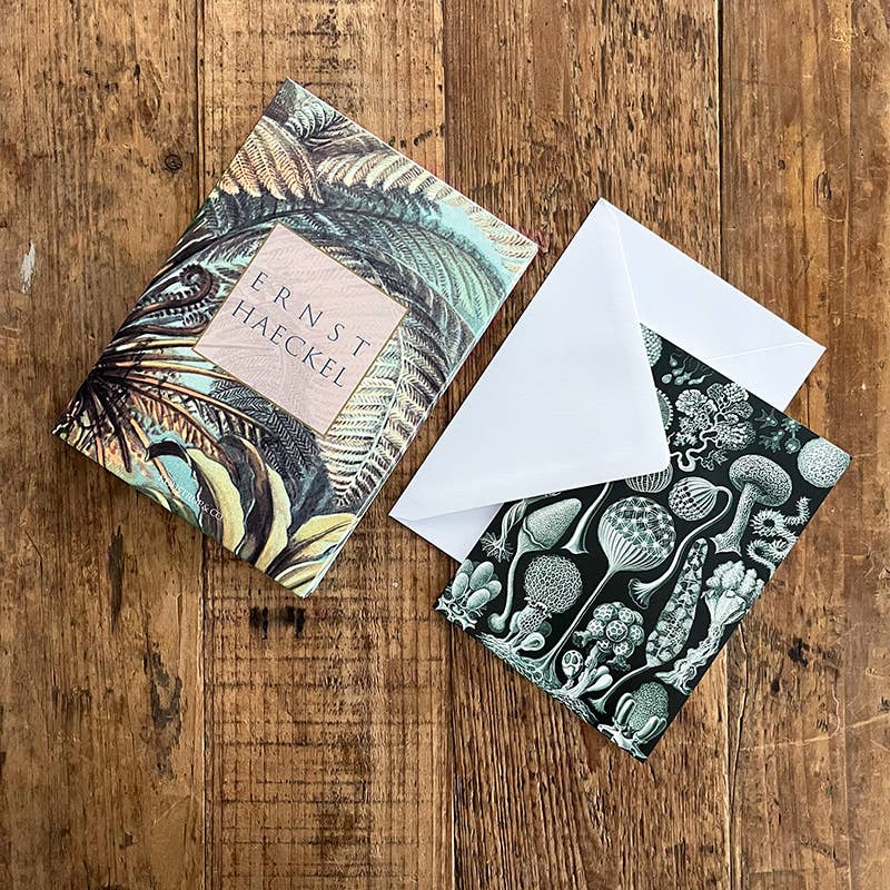 Carpeta de tarjetas de Ernst Haeckel con 8 tarjetas y sobres