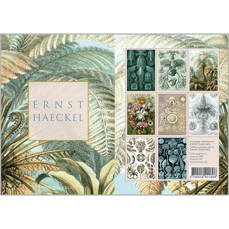 Carpeta de tarjetas de Ernst Haeckel con 8 tarjetas y sobres