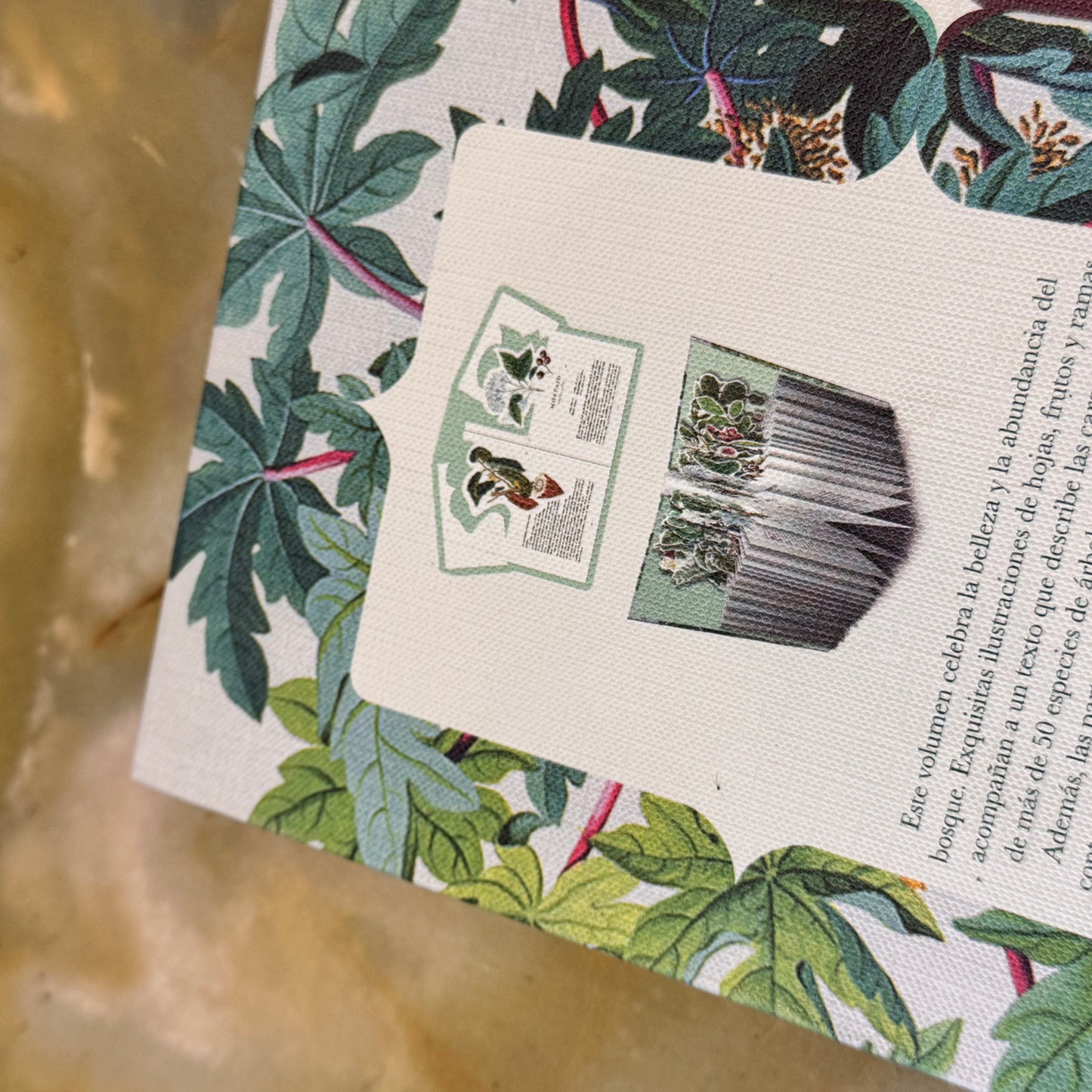 Libro-diorama de los árboles