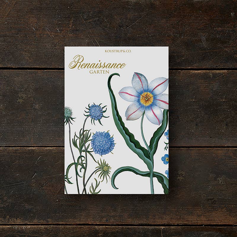 Carpeta de tarjetas Renaissancegarten - 8 tarjetas con sobres (alemán)