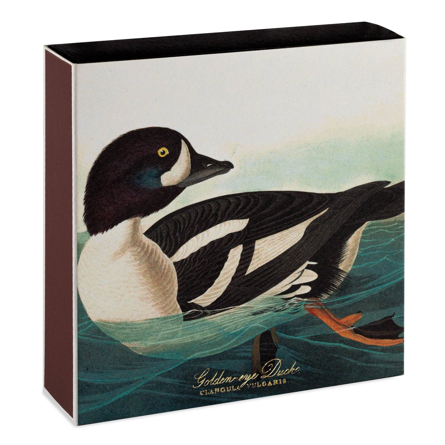 Cerillas de seguridad cuadradas The Golden-eye Duck por Audubon