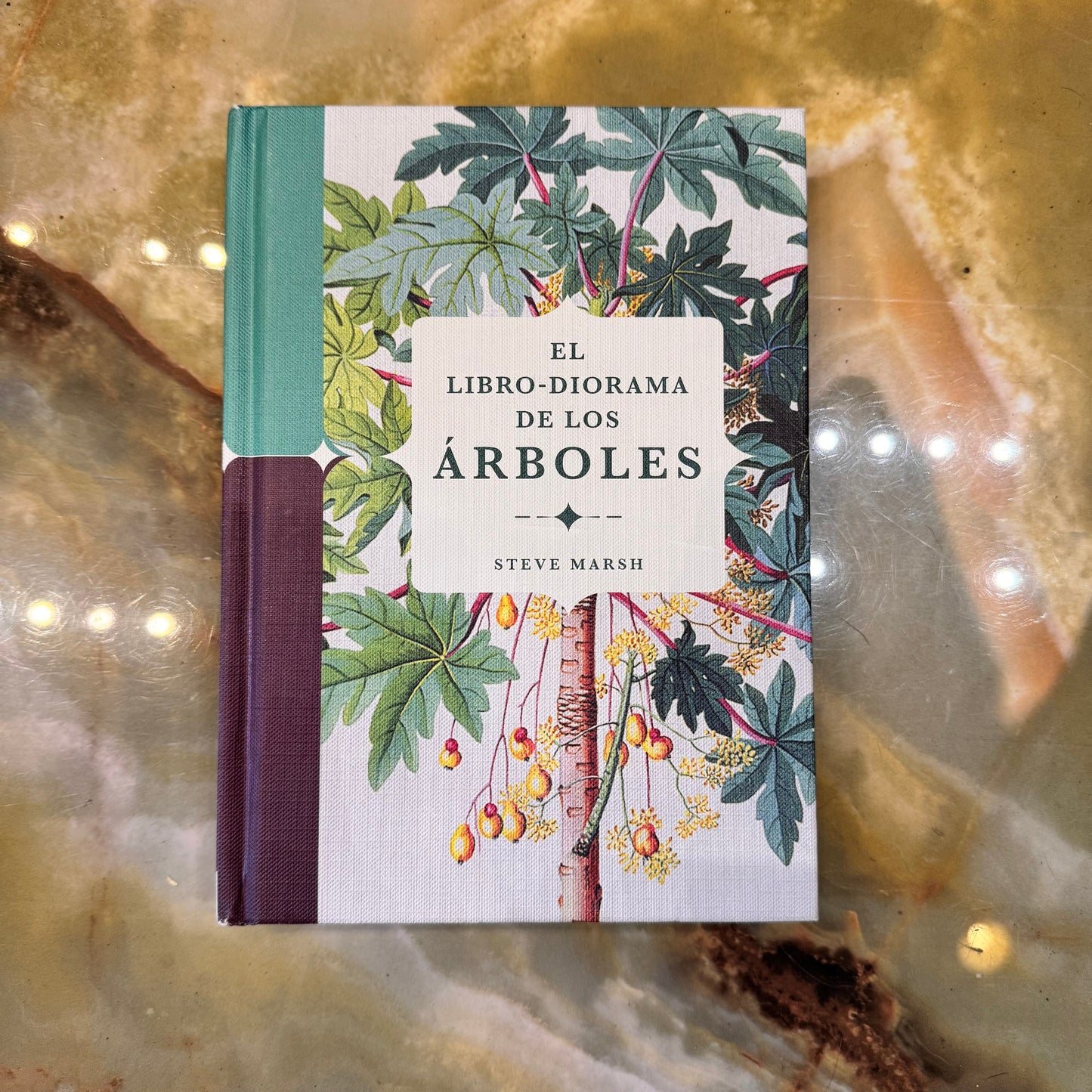 Libro-diorama de los árboles