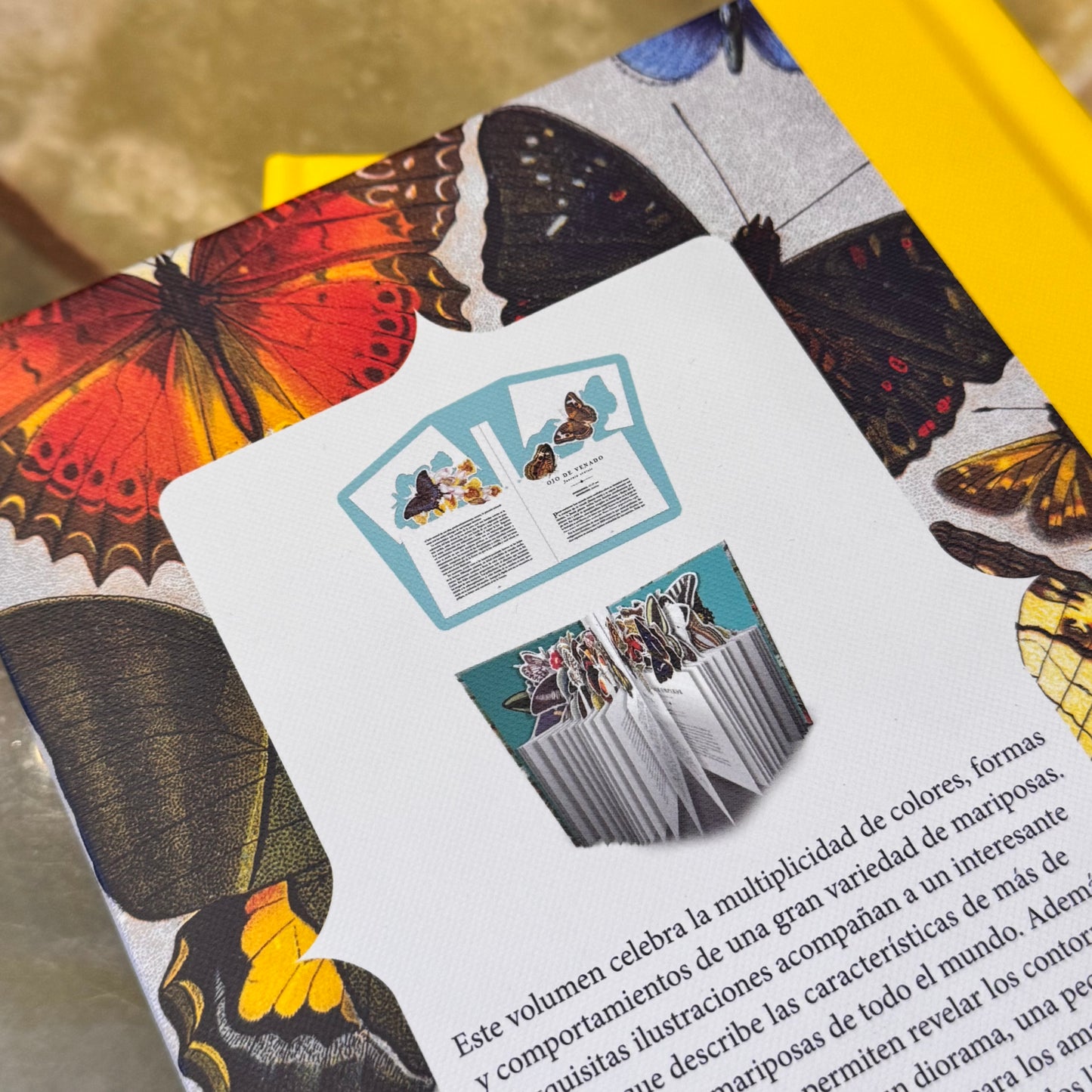 Libro-diorama de las Flores