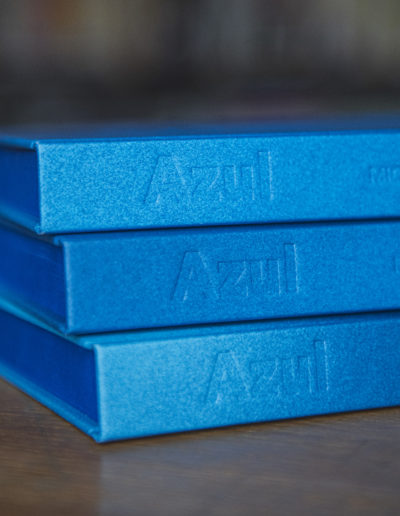 Azul, historia de un color. Folioscopio