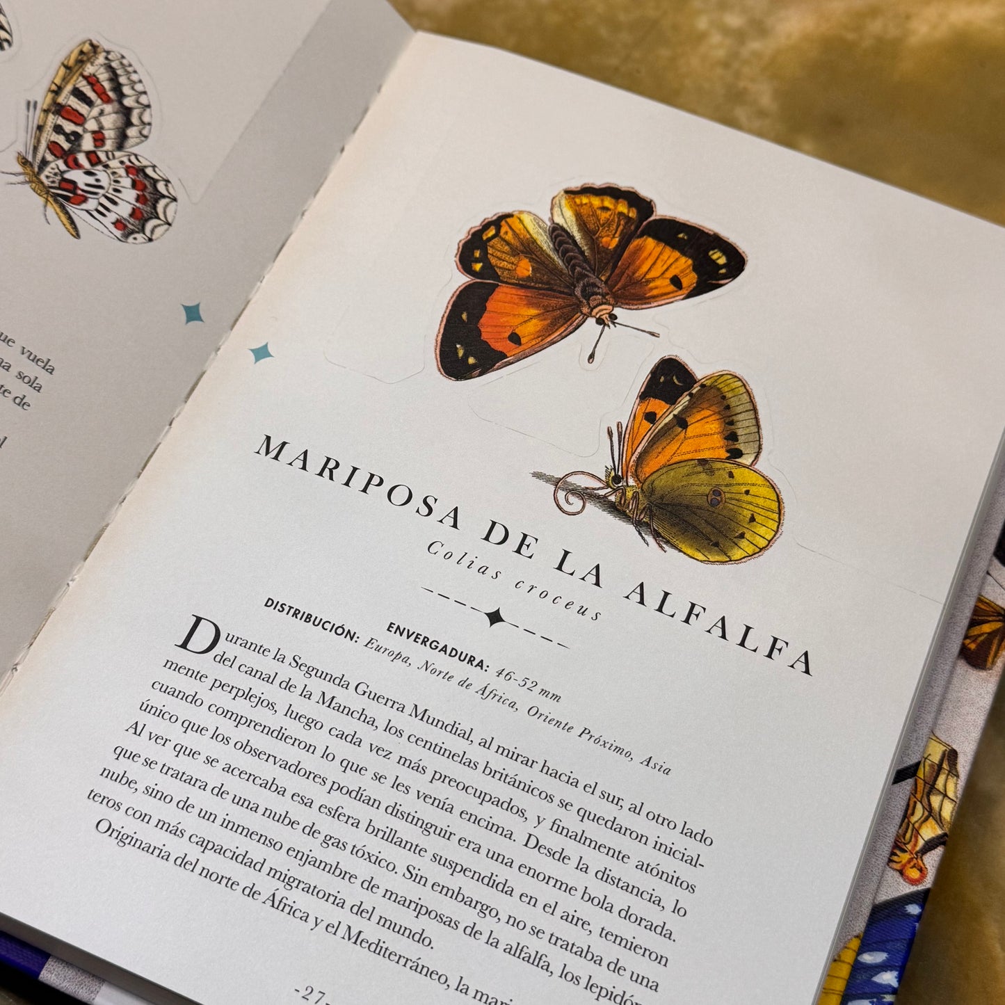 Libro-diorama de las Mariposas