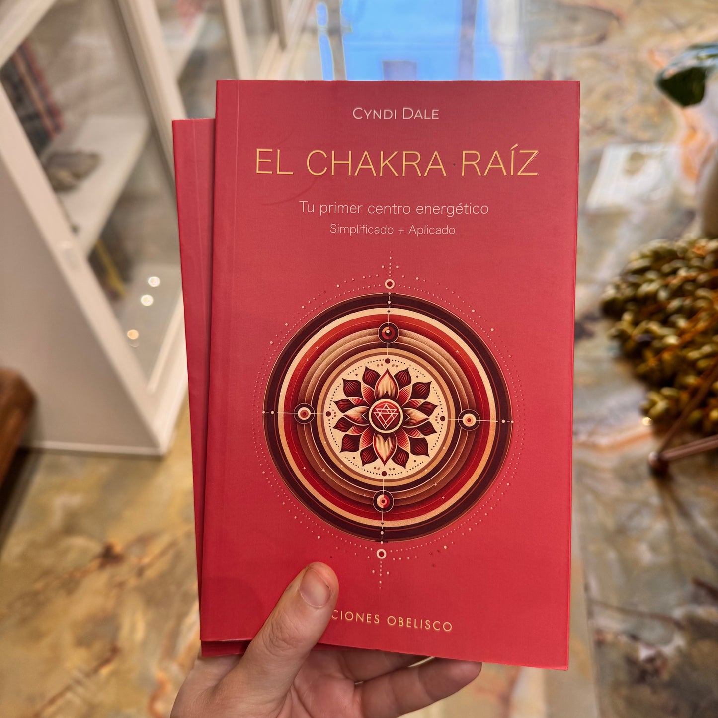 El chakra Raíz- Cyndi Dale