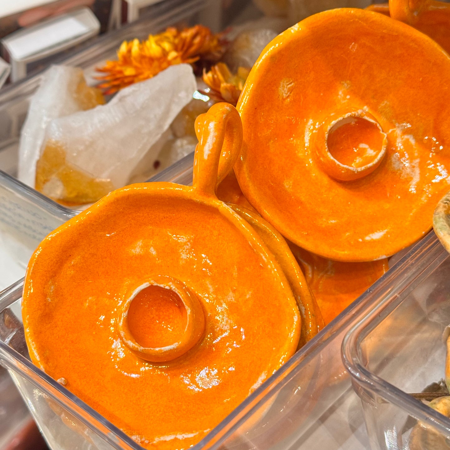 Cuencolabro Naranja: Huerta Valenciana