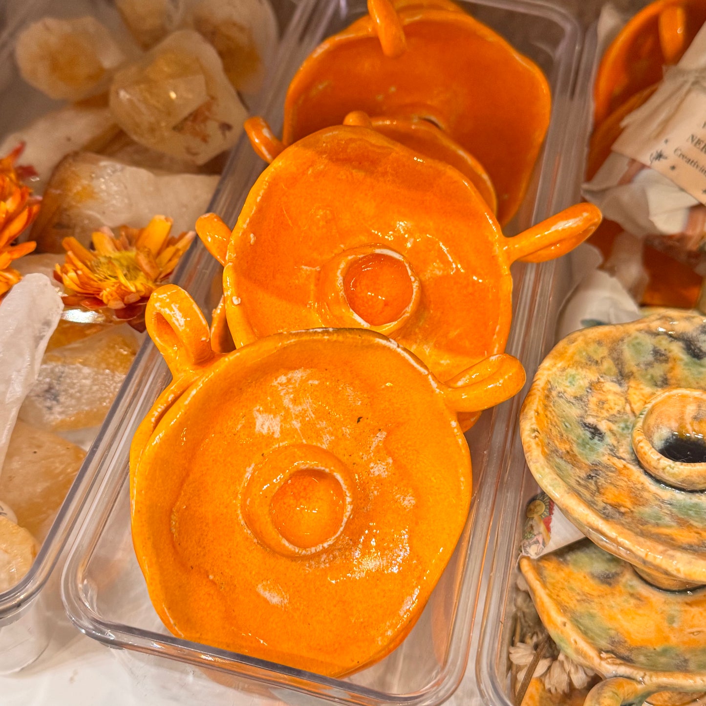 Cuencolabro Naranja: Huerta Valenciana